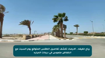 رياح خفيفة.. الأرصاد تكشف تفاصيل الطقس المتوقع يوم السبت مع انخفاض ملموس في درجات الحرارة